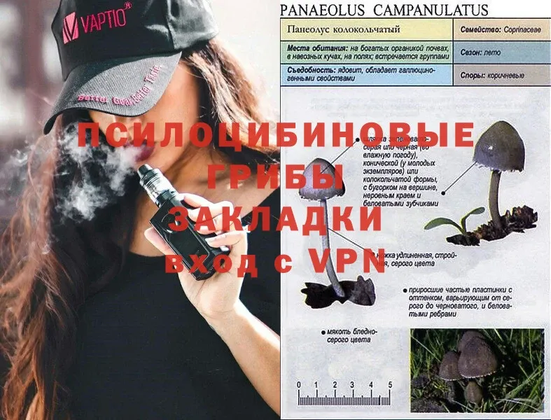 Псилоцибиновые грибы Psilocybine cubensis  Рубцовск 